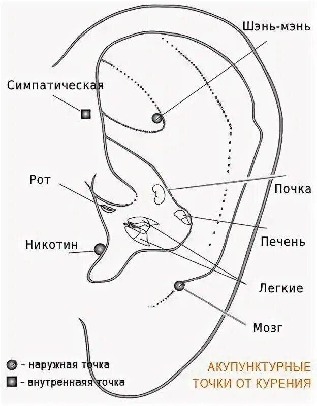 Рисунок точки g. Аурикулотерапия точка Шэнь-Мэнь. Точки акупунктуры против курения. Точки ушей для иглоукалывания против курения.