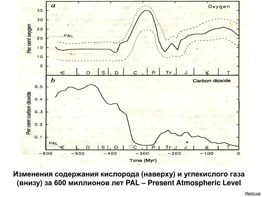 Изменение концентрации углекислого газа в атмосфере