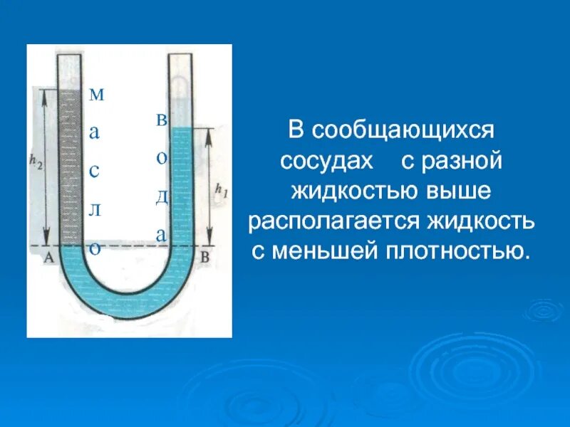 Сообщающиеся сосуды свободная поверхность жидкости. Сообщающиеся сосуды. Сообщающиеся сосуды с разными жидкостями. Разнородные жидкости в сообщающихся сосудах. Сообщающищиеся сосуды.