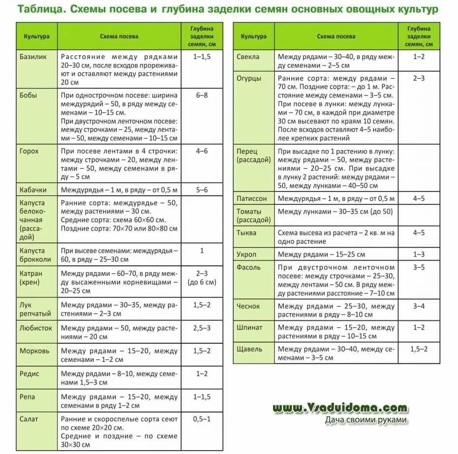 На каком расстоянии сеять семена. Глубина заделки семян овощных культур таблица. Сроки посадки овощных культур в открытый грунт. Таблица посева семян овощных культур в открытый грунт. Таблица овощей для высадки в грунт.