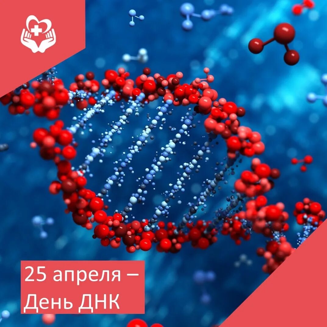 День днк поздравления. День днк. Международный день днк 25 апреля. Международный день днк 25 апреля. День днк 2022.