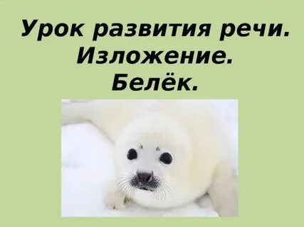Белек 2 класс презентация