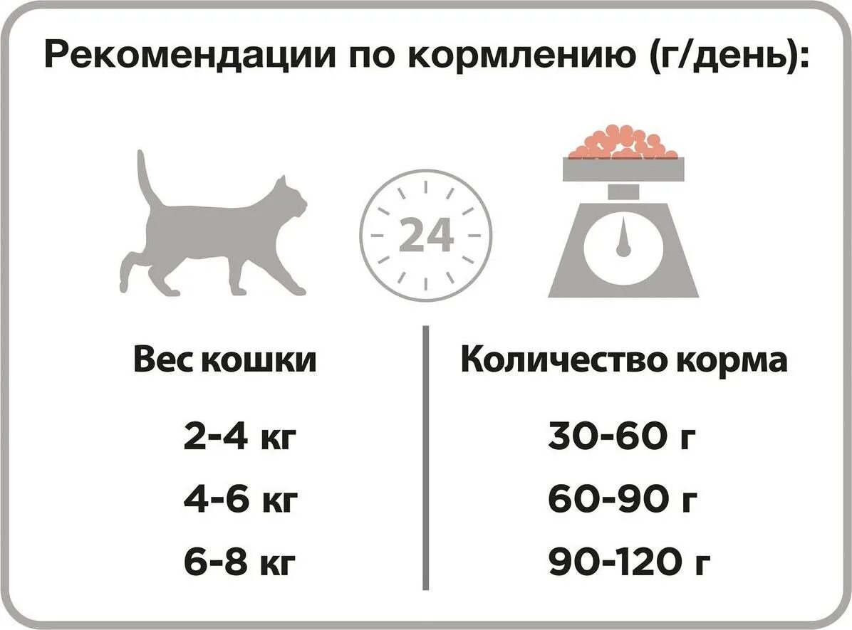 Сколько нужно давать корма кошке в день