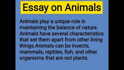 Animals essay