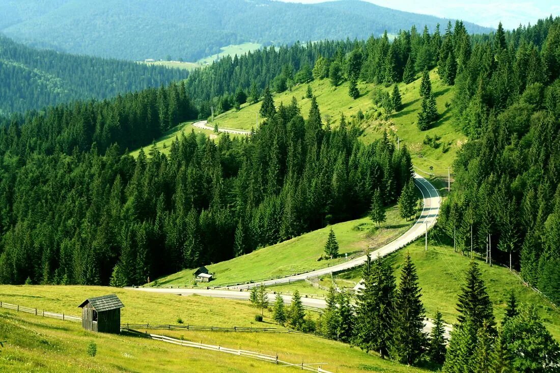Карпаты какое государство. Буковина Румыния. Румыния Карпаты Буковина. Северная Буковина природа. Молдова Карпаты горы.
