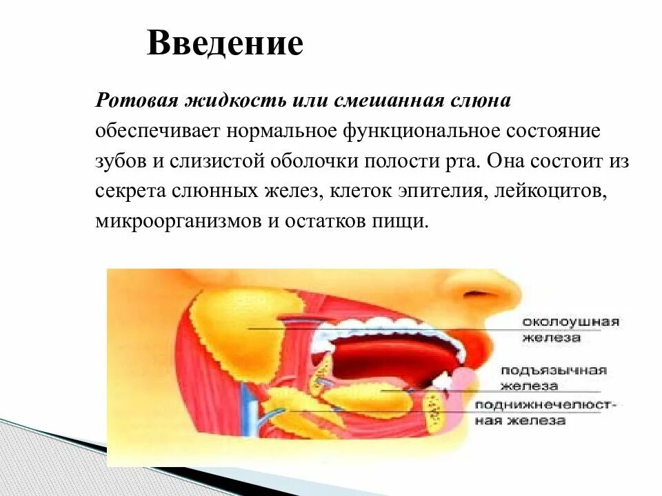 Выделения слюны во рту. Ротовая жидкость. Функции слюны в ротовой полости. Слюна и ротовая жидкость. Презентация на тему ротовая полость.