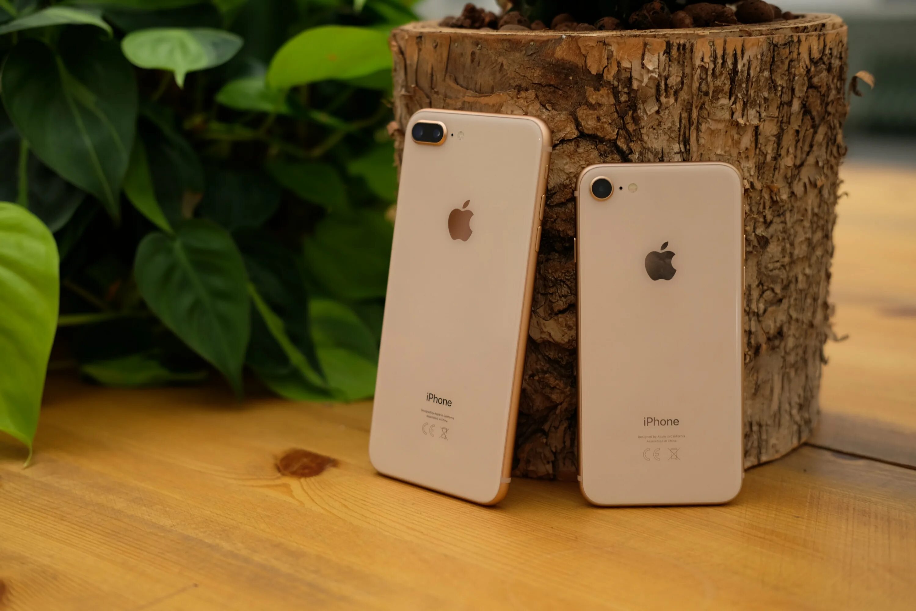 Айфон 8 россия. Iphone 8. Iphone 8s Plus. Iphone 8 Gold. Apple iphone 8 Plus.