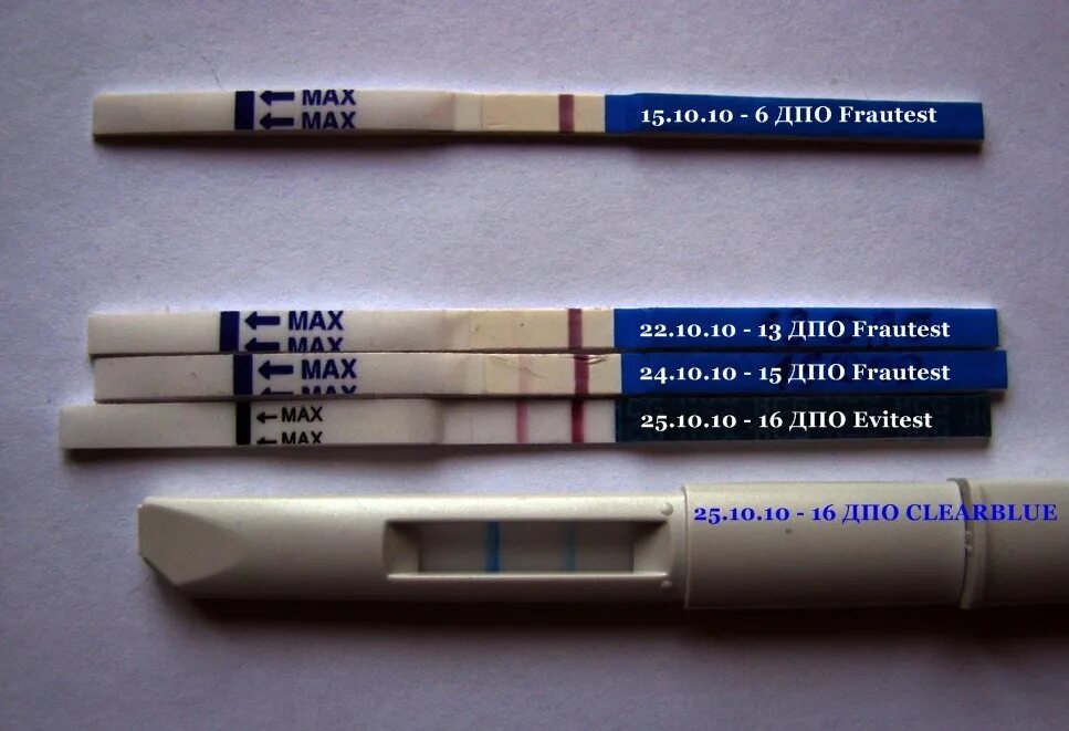 На 6 день покажет тест беременности. Тест на беременность на 6 день после овуляции. 6 ДПО тест на беременность. Тесты на беременность по дням ДПО. 6 День ДПО тест на беременность.
