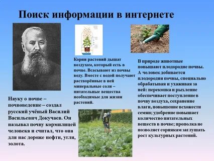 Влияние почвы на жизнь растений