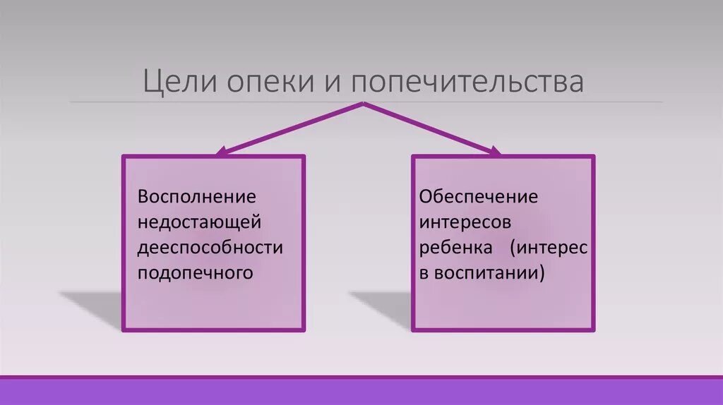 Цели органов опеки и попечительства