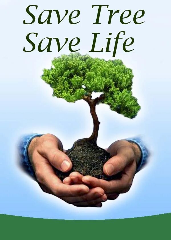 Save tree. Save trees. save tree save life. tree save tree life. save+the+earth tree.