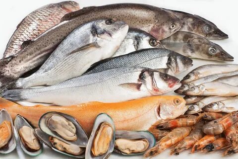 Рыба рыбная продукция
