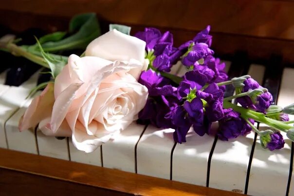 Пусть музыка звучит в душе. Цветы красивые звучания. Пусть мелодия души. Пусть в ваших сердцах звучит мелодия любви.