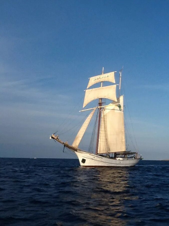 корабль в море. мелкий корабль. парусная яхта финикия. парусно- моторная шхуна аскольд. трехмачтовая марсельная шхуна.