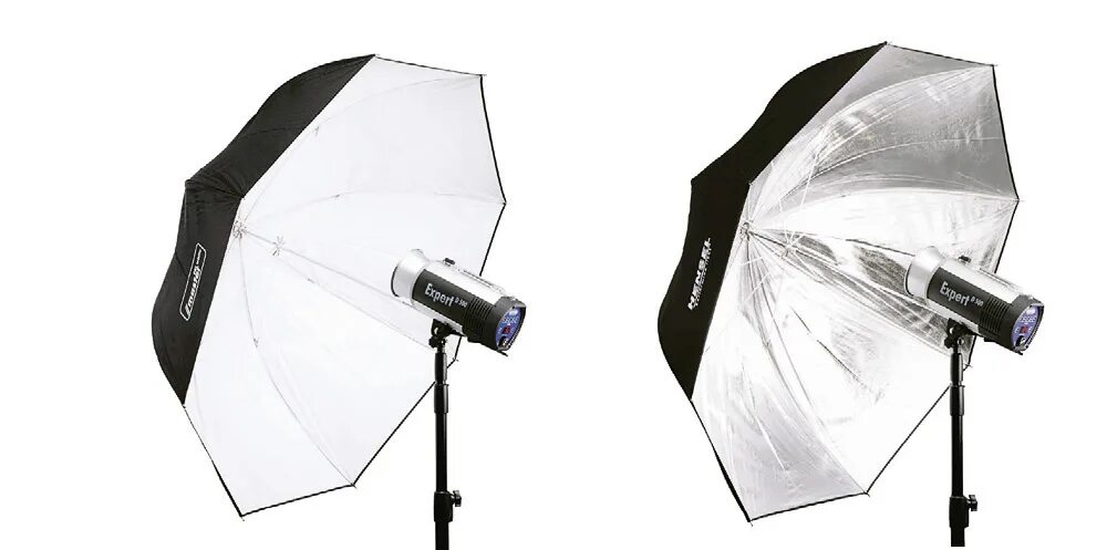 Мерцающий арбуз 1 softbox
