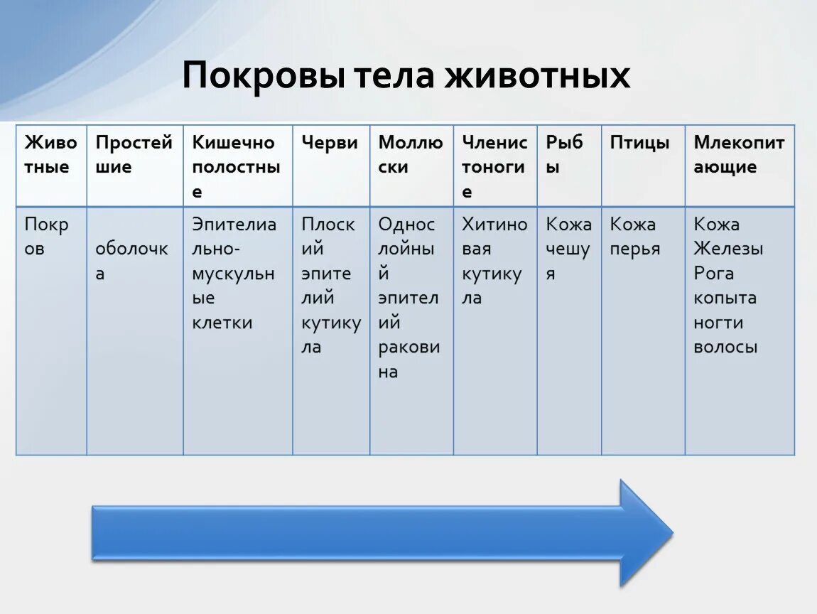 Покровы тела животных 8 класс биология таблица. Покровы тела. Покровы тела животных таблица. Эволюция покровов тела. Эволюция покровов тела животных.