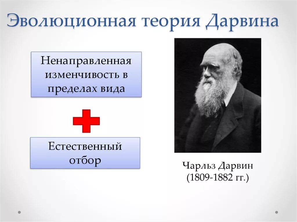 Ученые теория дарвина. Эволюционная теория Чарльза Дарвина. Дарвин и его теория эволюции. Теория революции Чарльза Дарвина кратко. Эволюционная теория Дарвина.