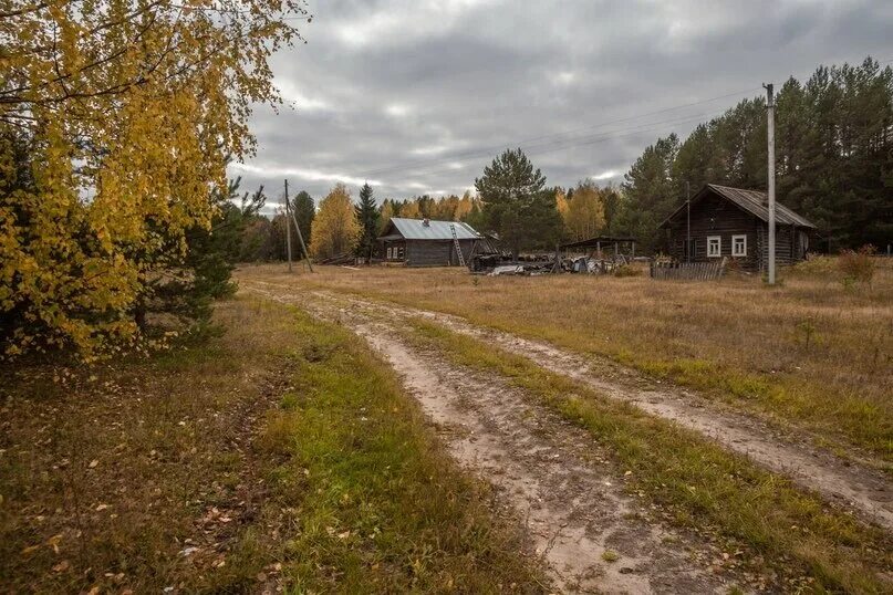 Погода в полутово. Ломоватка вологодская. Погода в полутово. Погода в полутово. Погода в полутово.