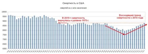 Смертность в сша