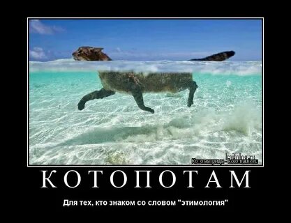 Никто не идеален