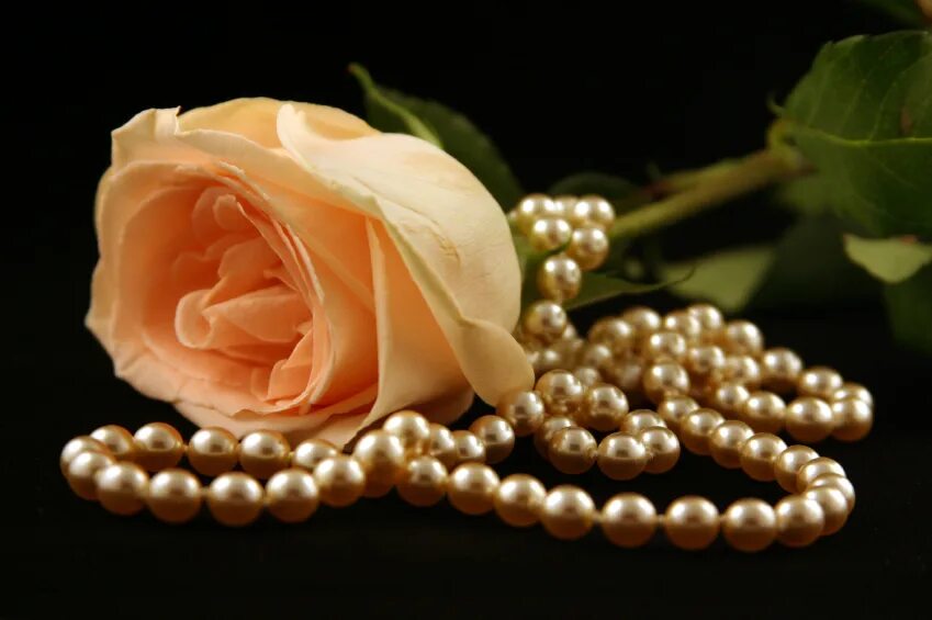 Жемчуг и цветы. Розы и жемчуг. Розы и жемчуг. Красивые цветы с бусами. Розы и жемчуг.