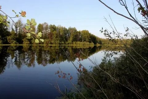 Дубовое волгоградской