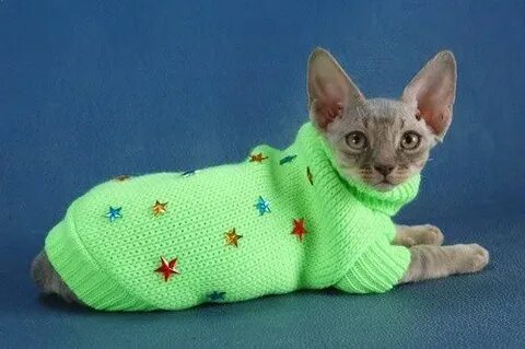 Вязание для кошек