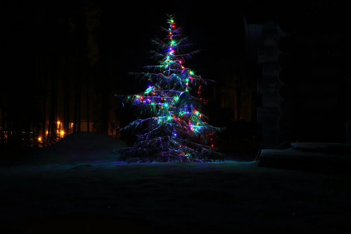 елки ночи. елки ночи. новогодняя елка. звездное небо ель. елки ночи.