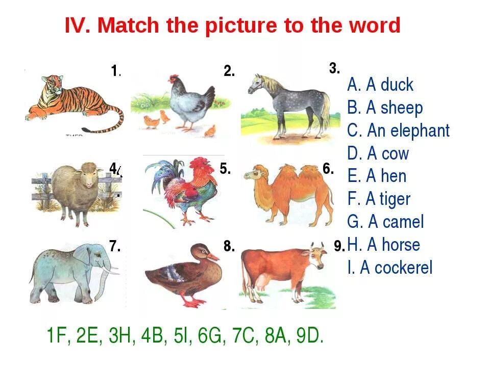 Описание тигра на английском. Проект по английскому языку 3 кла. Презентация по английскому языку животные. Презентация для урока английского языка. Животные на английском языке 4 класс.