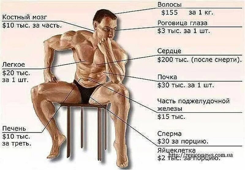Органы человека на черном рынке. Расценки на человеческие органы. Сколько дают за органы. Сколько дают за органы. Сколько стоят органы человека.