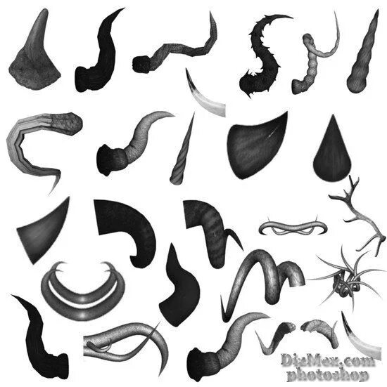 Macaca silenus. Медвежий коготь амулет. Челюсть монстра референс. Красный рог. Клыки и хвост.