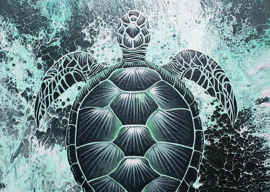 Возможность изображения картинки на экране холста turtle