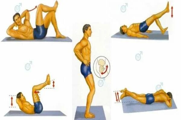 Кегель и потенция