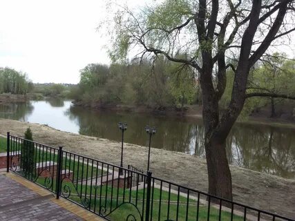 Бристоль брянск