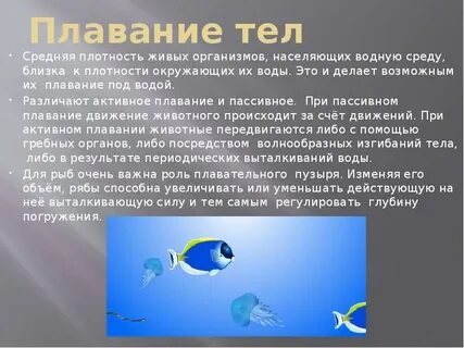 Активно плавает
