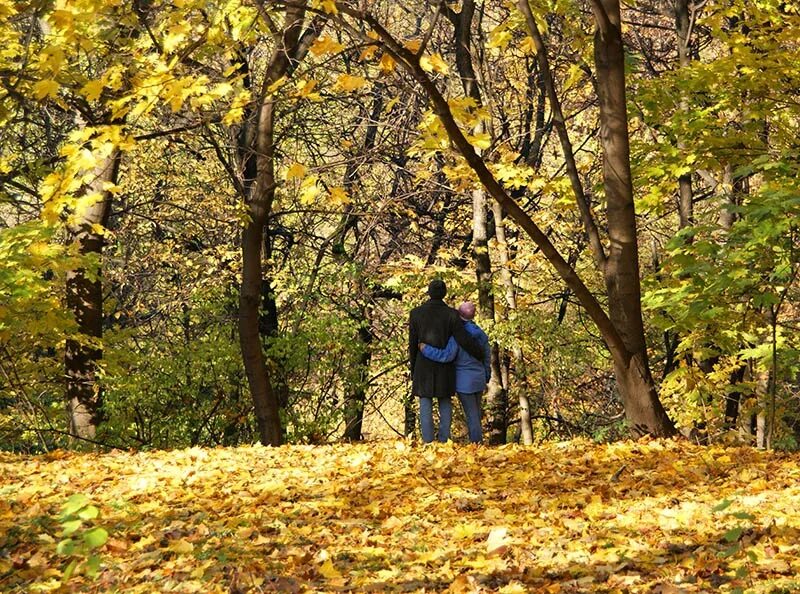 Прогулка в осеннем парке. Прогулка по осеннему лесу. Прогулка по осеннему парку. Прогулка в парке. Брожу по осеннему лесу