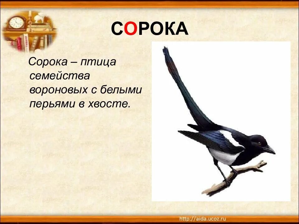 Слово сорока. Сорока 1 класс. Сорока картинка с описанием для детей. Словарное сорока.