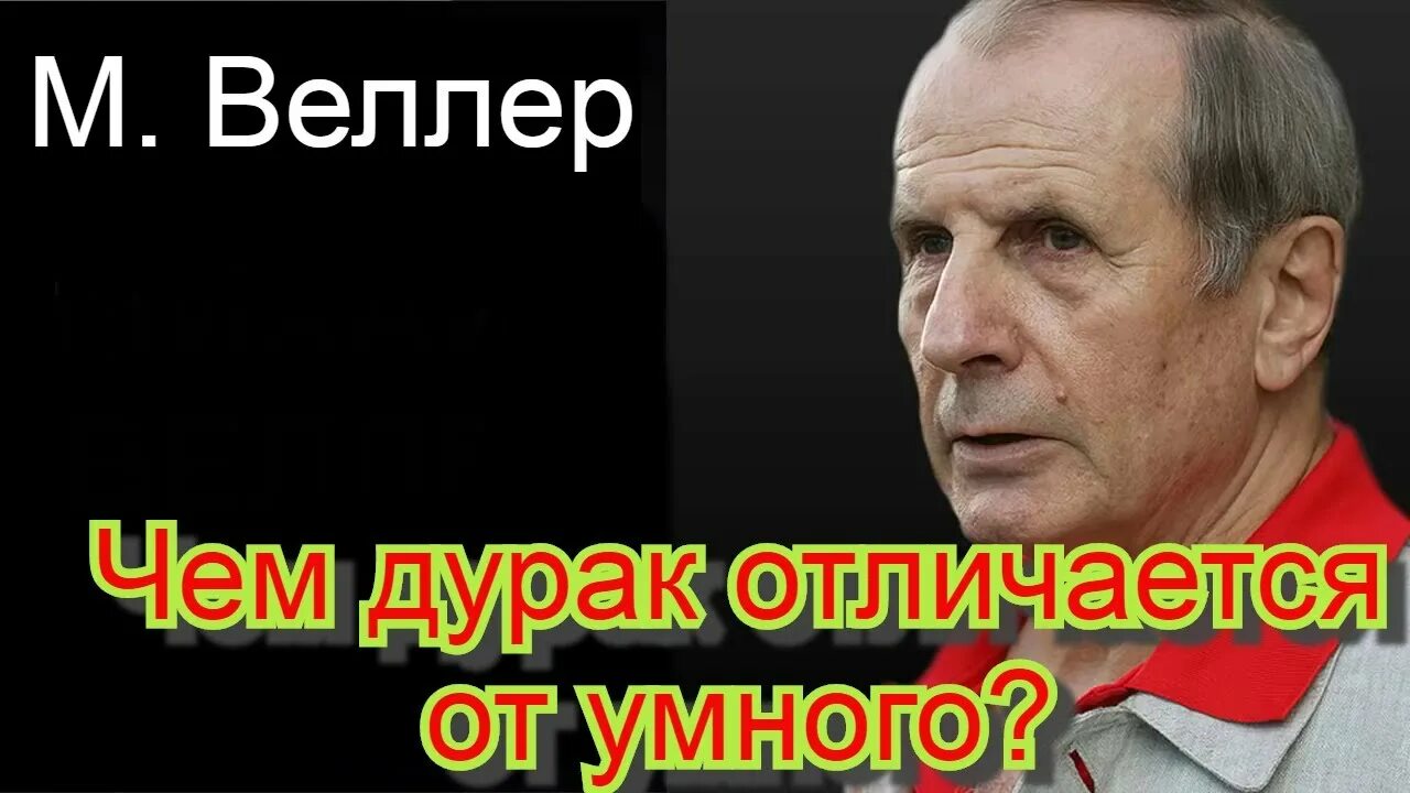 Веллер идиоты. Веллер цитаты. веллер с путиным.