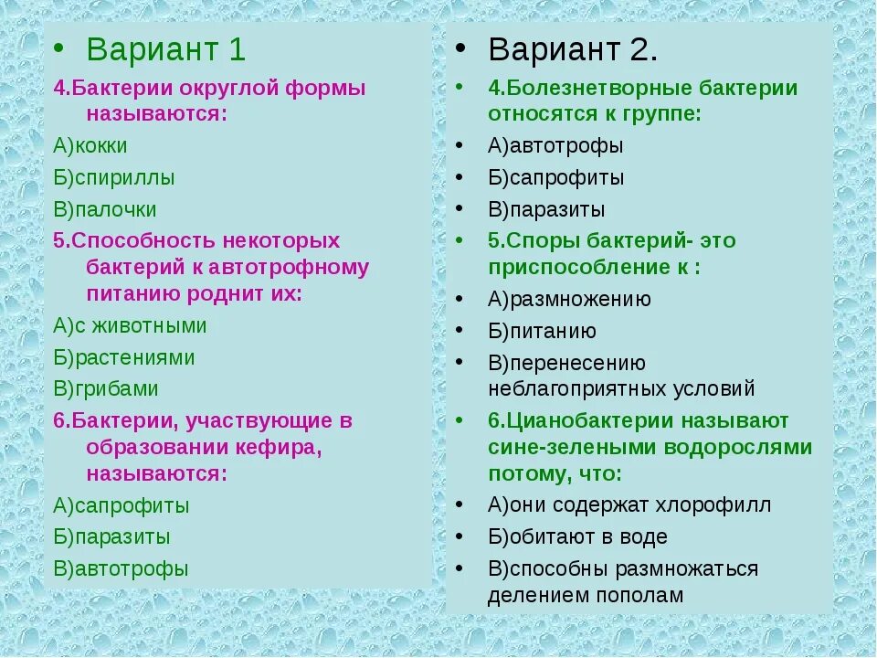Тест по теме бактерии 5 класс биология. Тесты по биологии 5 класс по теме &quot; бактерии и водоросли&quot;&quot;. задания по бактериям. вопросы по теме бактерии. вопросы про бактерии.