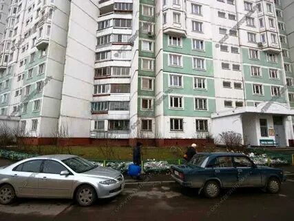 Барышиха 49