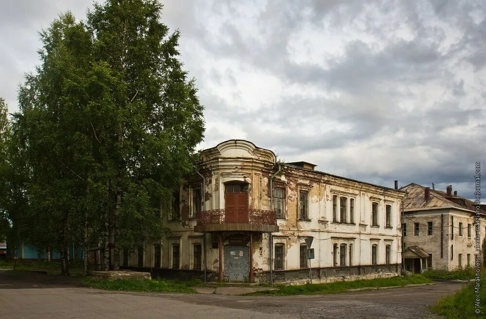 Численность онеги