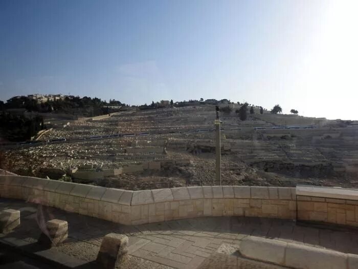 Сион холм в иерусалиме. Сион город давида. Елеонская гора (масличная гора). Холм шарона израиль. Библейский холм в иерусалиме.