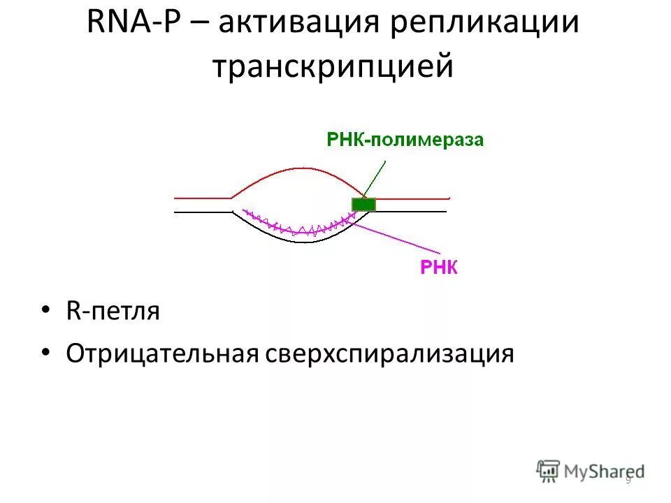 Значение репликации. Значение репликации