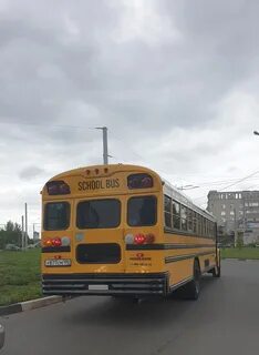 Сланцы школьный автобус