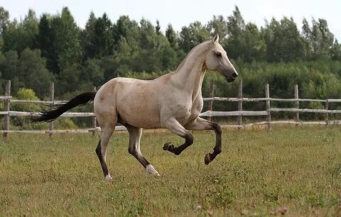 Булан