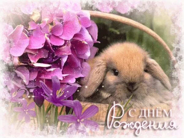 Досуг это здорово Группа на OK.ru Вступай, читай, общайся в Одноклассниках!