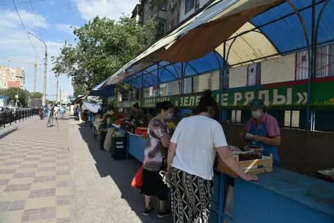 Зеленые ряды 1