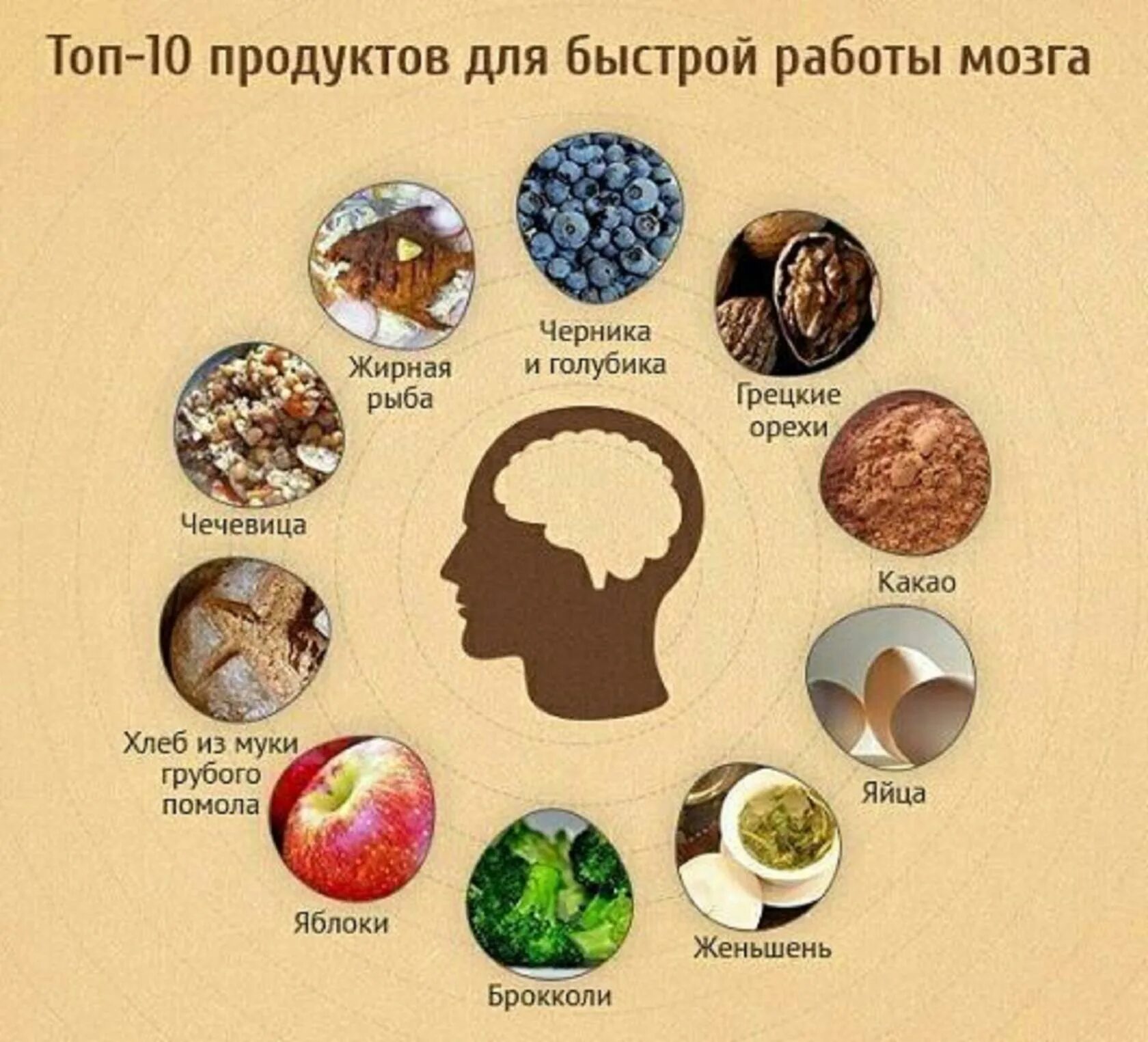 Продукты для улучшение мозга. Продукты для улучшения памяти и мозговой деятельности. Продукты полезные для мозга. Полезные продукты для могза. Продукты для улучшения деятельности мозга.