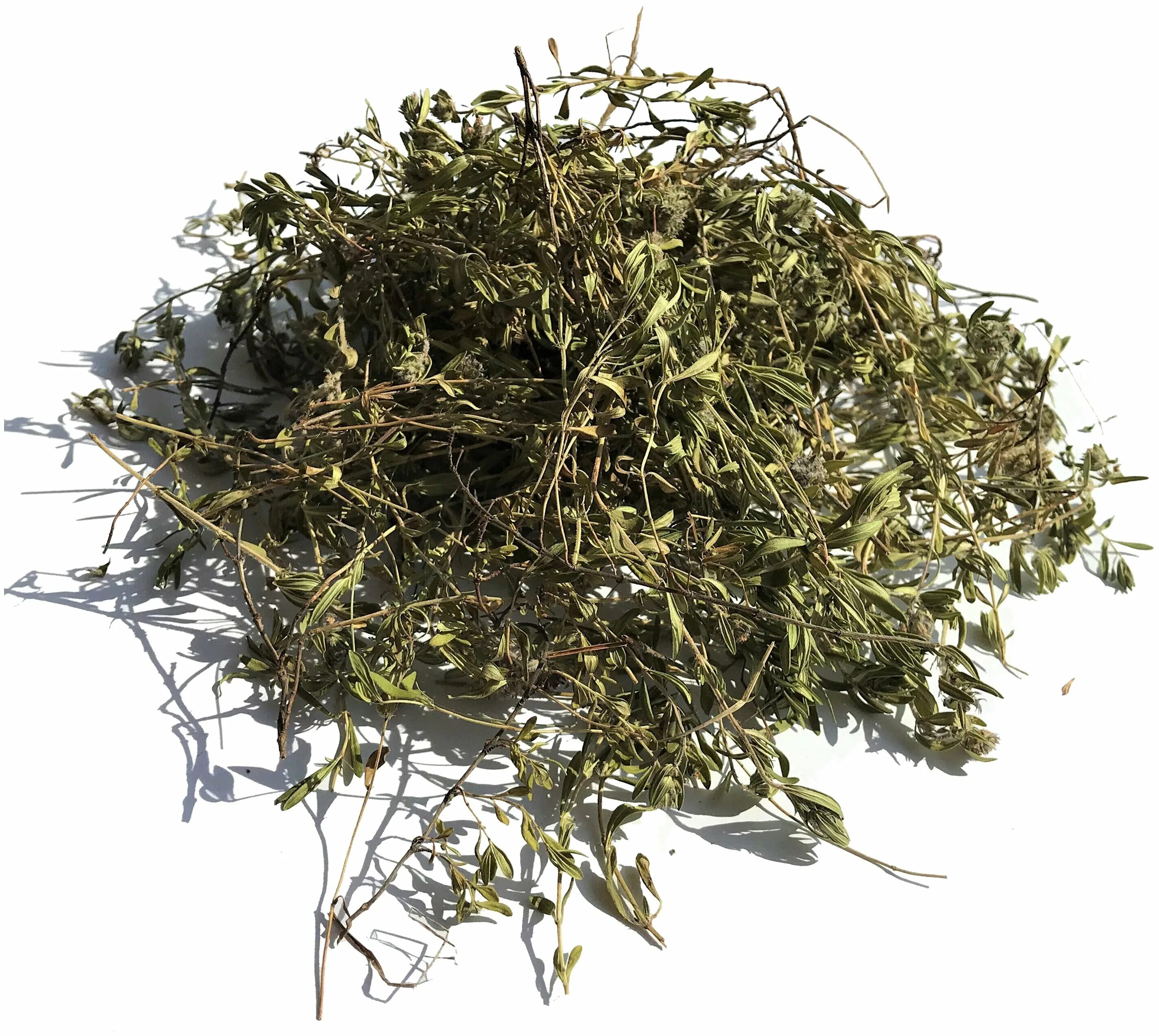 "чабрец байкальский". настой чабрец. тимьян обыкновенный сырье. трава чабрец. тимьян ползучий сырье.