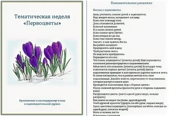 Тема недели первоцветы в подготовительной группе. Неделя первоцветов мероприятия в ДОУ. Первоцветы для родильного уголка тема недели. Планирование первоцветы подготовительная группа